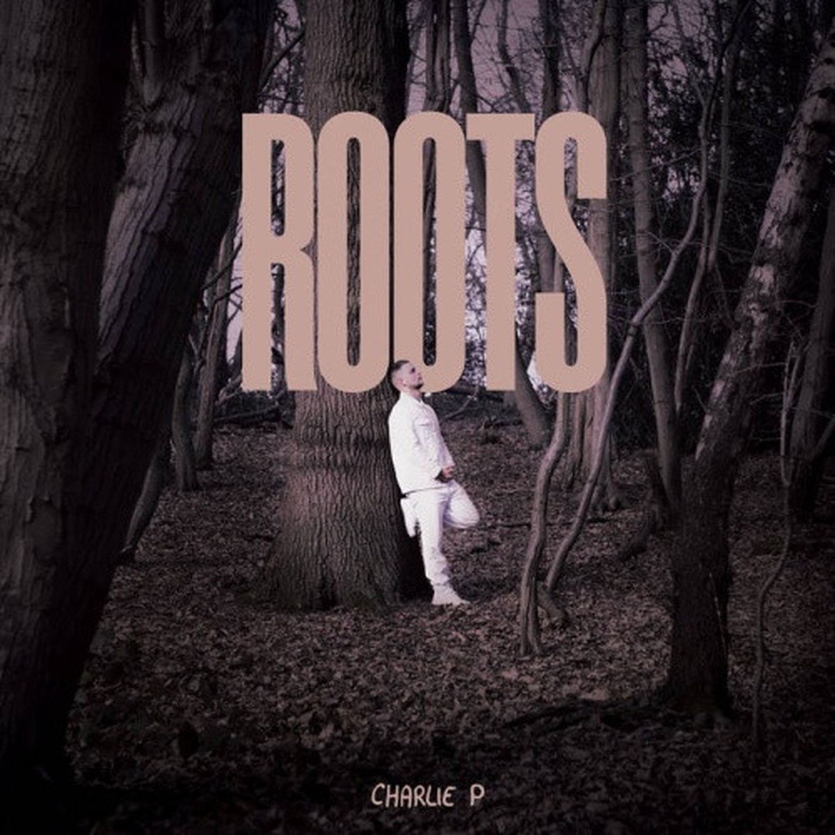 Charlie P – Roots – LP Vinyl