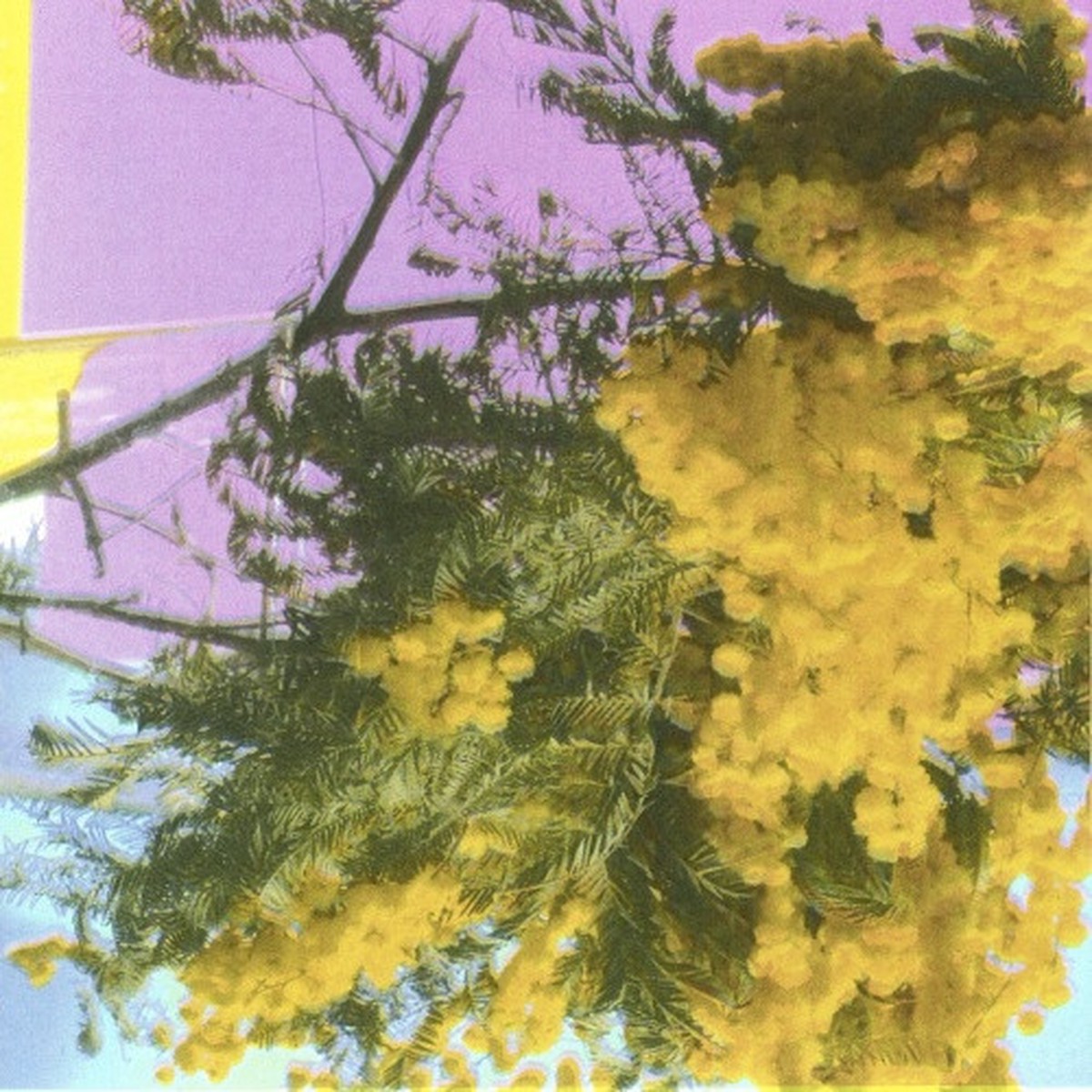 Four Tet – Into Dust (Still Falling) – 12″ Vinyl